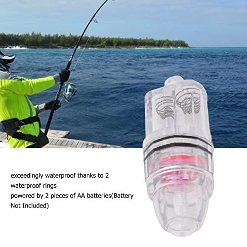 Underwater Fish Light