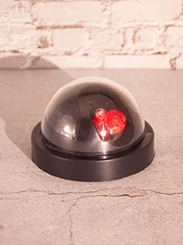 Fake Security Camera