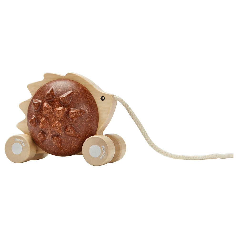 Pull-Along Hedgehog