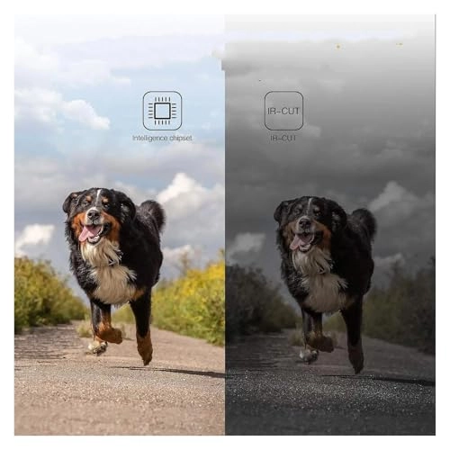 Car Rear View Camera - Night vision 1920 x 1080P