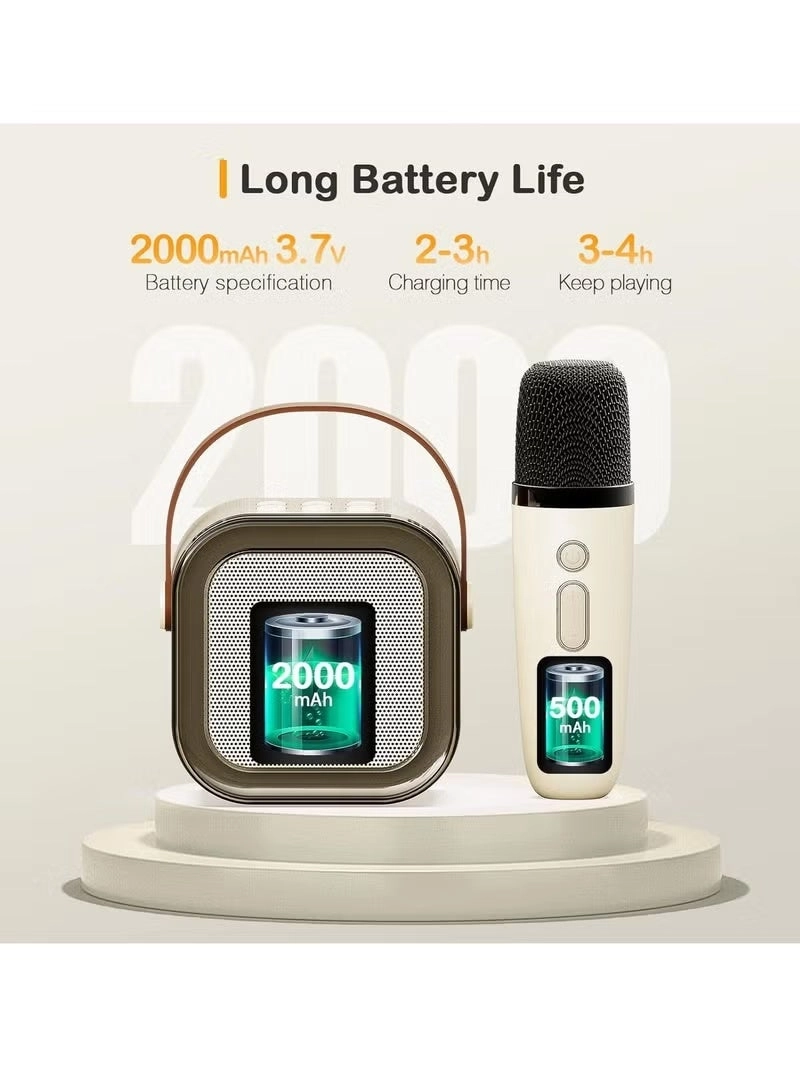 Mini Karaoke Party System - 2 Wireless Microphones
