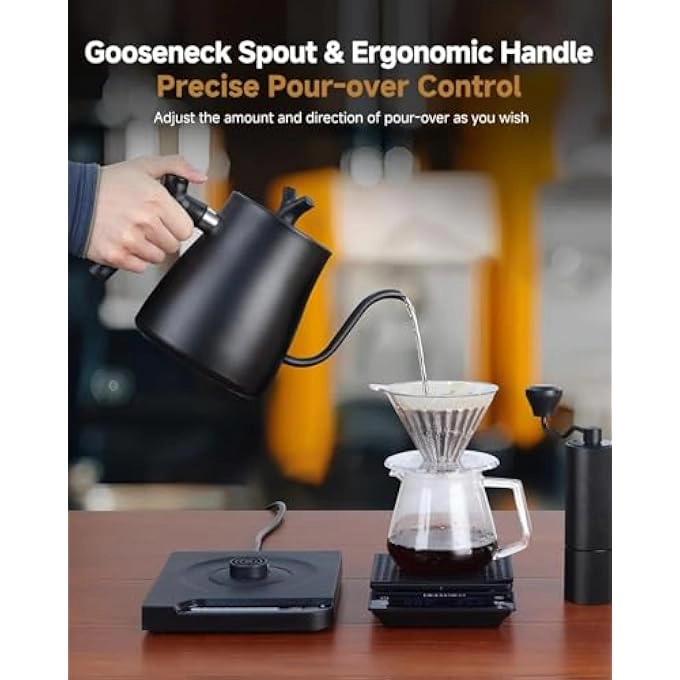 Gooseneck Electric Kettle