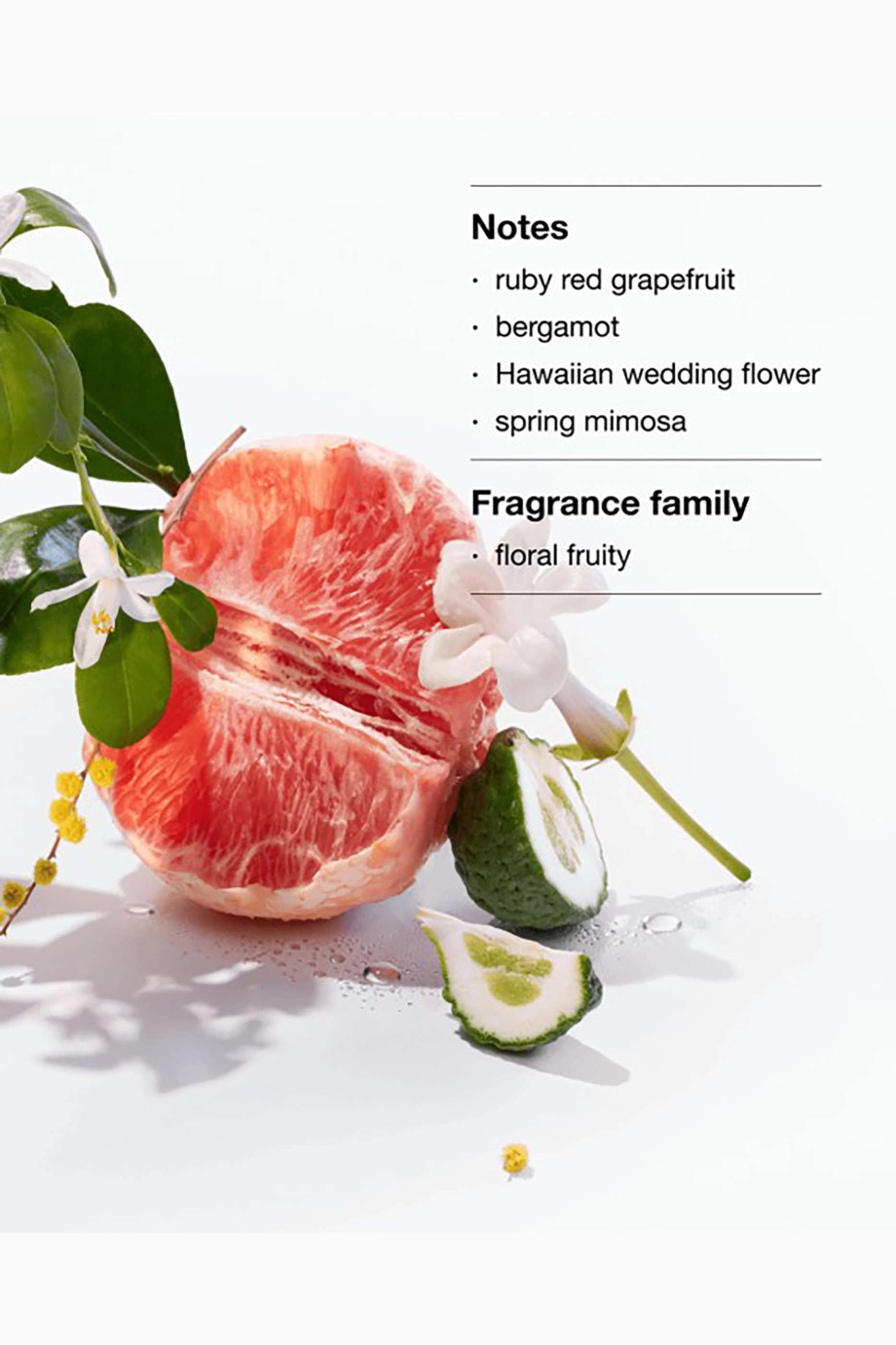 Happy + Pop Plush - 3 piece(s)