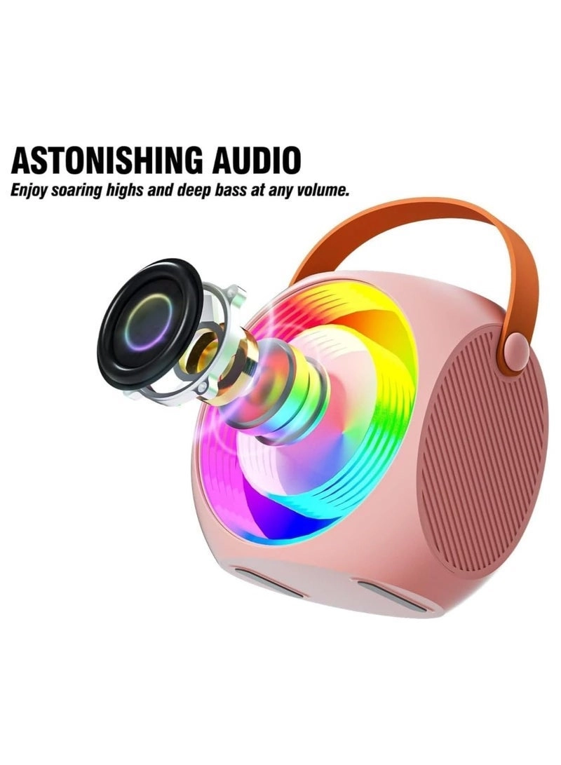 SD-508 - Dual Wireless Microphones