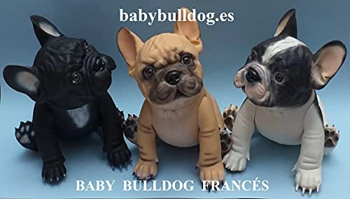 Dog - Animal - Baby Bulldog Francés - 3 years 3 (30 cm) (BDF-001)