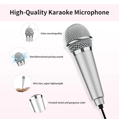 1 USB Microphone