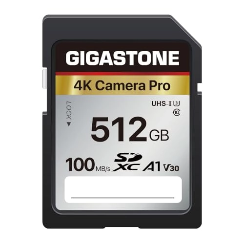4K Pro Series - 512GB