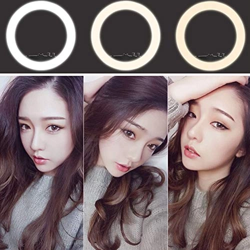 LED Ring Light - 10 inch