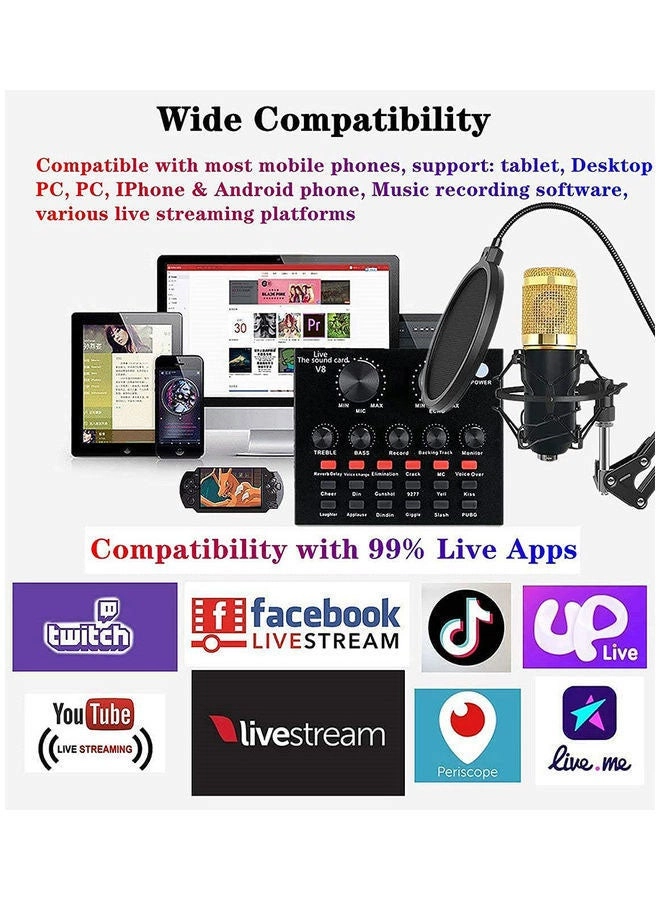 BM-800 + Live Sound Card Wired Microphone