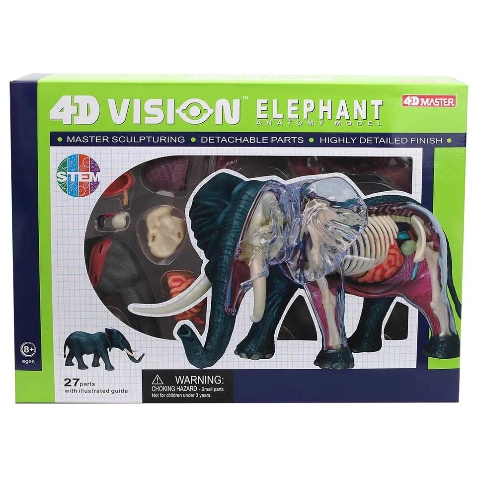 Champei 4D Elephant Anatomy