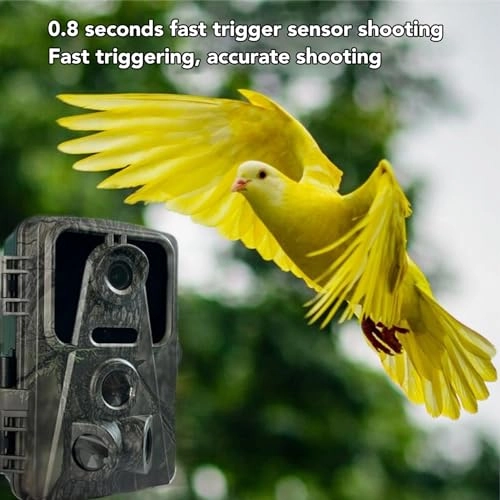 1080P Trail Camera - 16MP