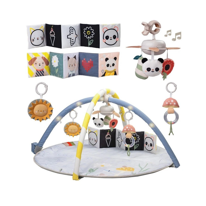 Melody Bloom Gym - 0 month & above