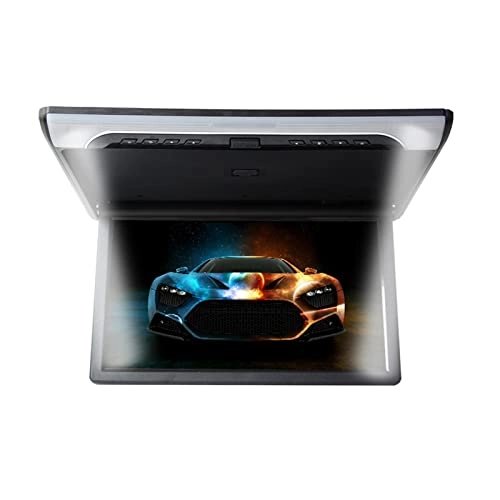 Car Ceiling Display - 19 Inch