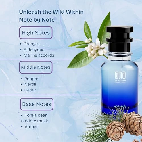 Impression of Alluure Hommee Sport - 80 ML