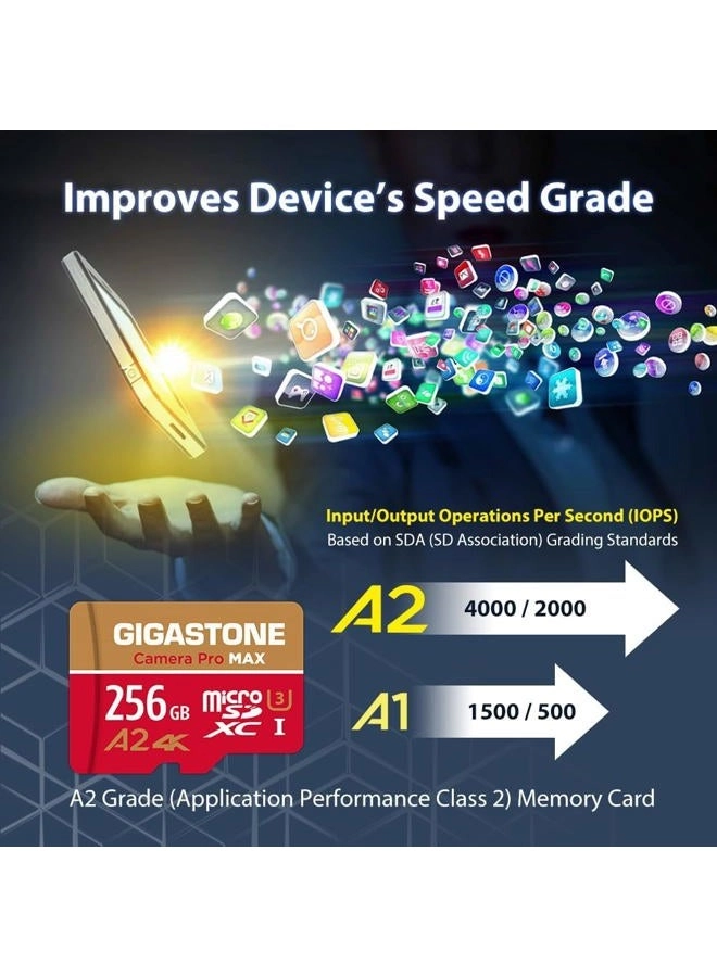 Micro SD Card - 256GB