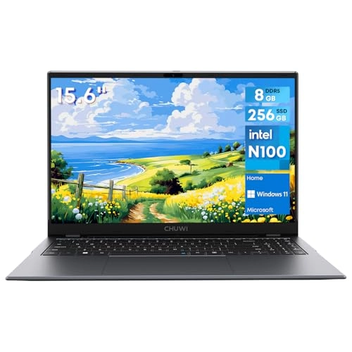 GemiBook Plus - 15.6'' N100 8GB DDR5 256GB SSD