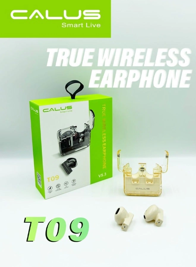 T09 Wireless Earbud