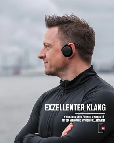 AL4 Freedom Wireless Headphone