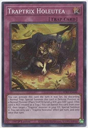 Traptrix Holeutea SDBT-EN046