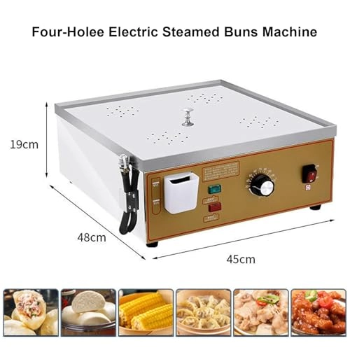 Electric Steamer