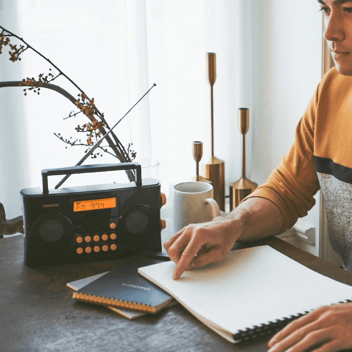 PR-D17 - Portable Radio