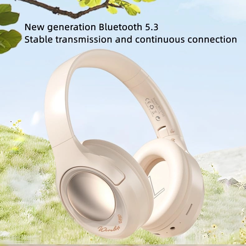 ejv730mb-101 Wireless Headphone