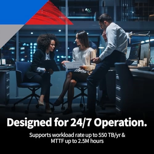 N300 PRO 24-Bay 12TB