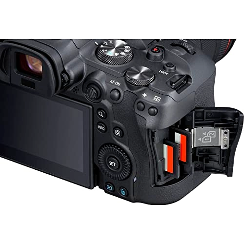 EOS R6 + RF24-105mm F4-7.1 IS STM