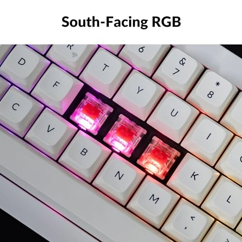 Q2 Max - Wired/Wireless