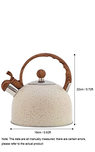 Kettle - Stainless Steel Auburn