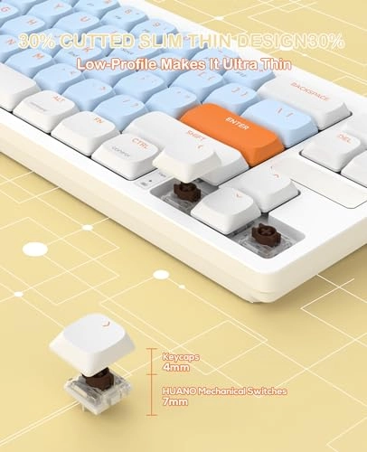 RKL680 - US Wired/Wireless