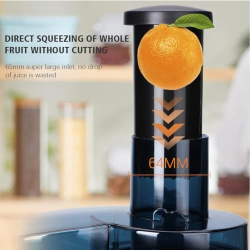 Masticating Juicer - 200 watts 0.5 Liters