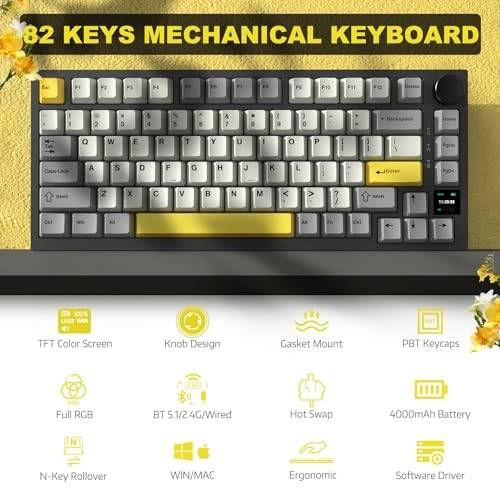 AK820PRO - EN Wired/Wireless