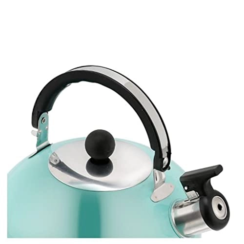 Flat Bottom Kettle