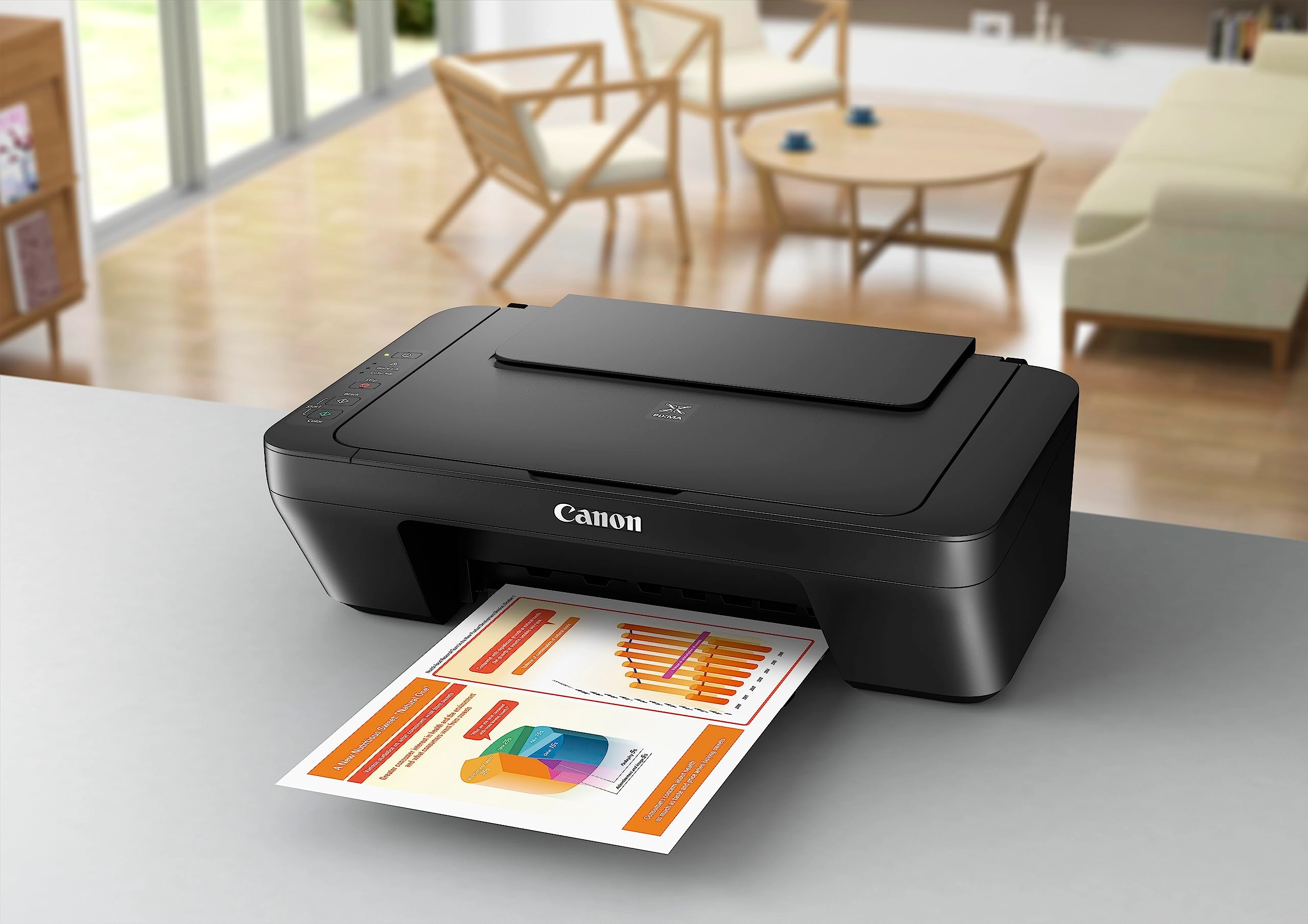 PIXMA MG2550S
