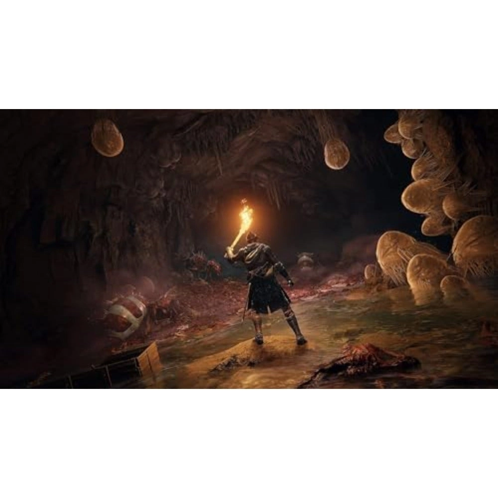 Elden Ring | PS5