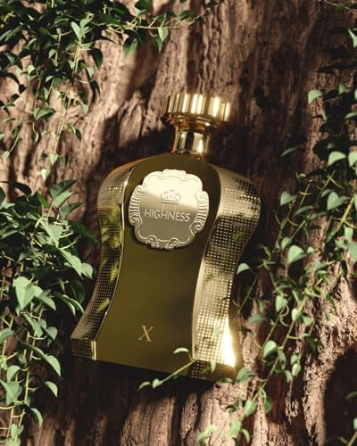 Highness Brown Eau de Parfum 100 ml