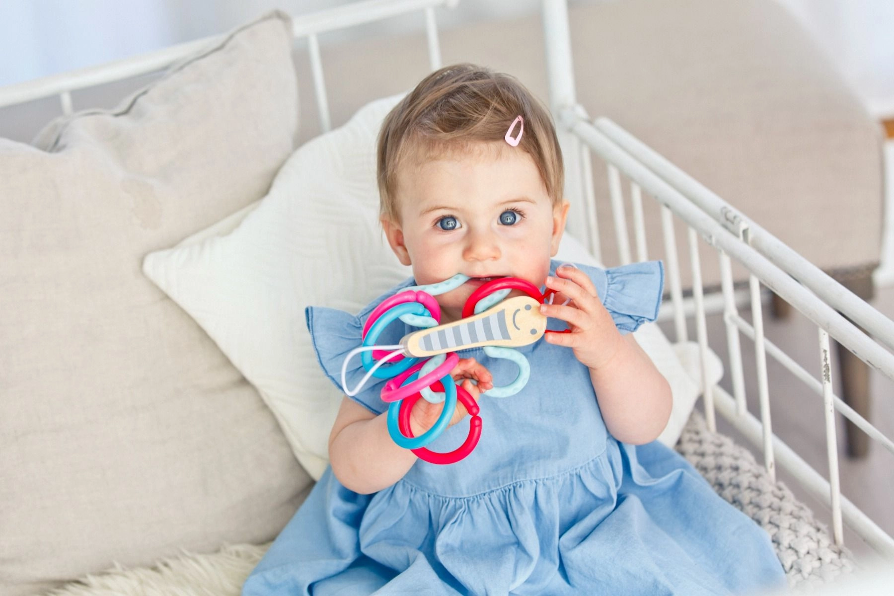 Butterfly Links - 0 month