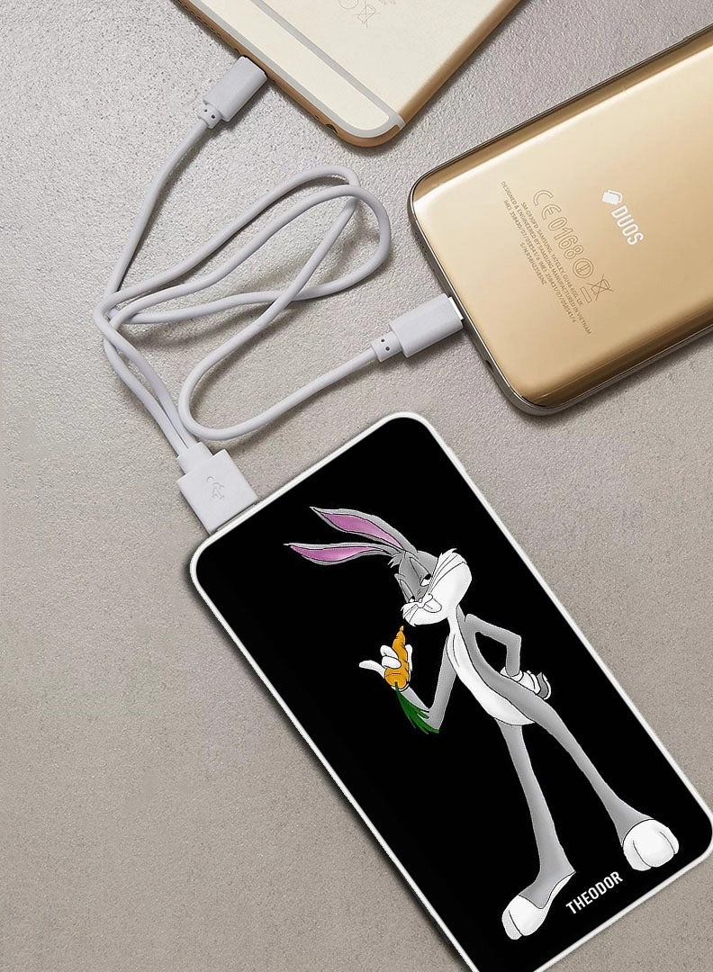 EX_PPBA494 - 10000mAh 18W PD