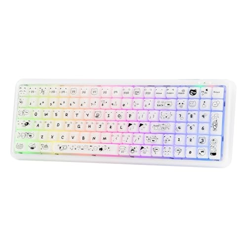 X100 PRO - US Wired/Wireless