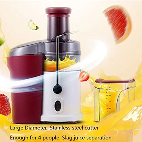 Slow Masticating Juicer Extractor - 700W 1000ml