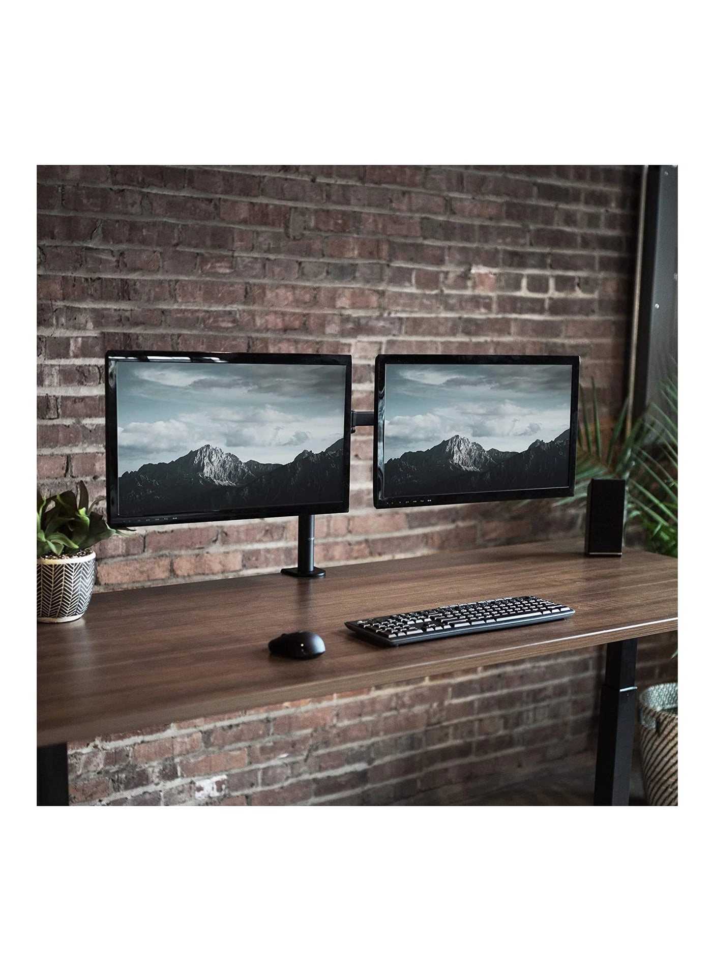 Dual Monitor Desk Mount - 2 13 to 32 inches 75x75mm or 100x100mm