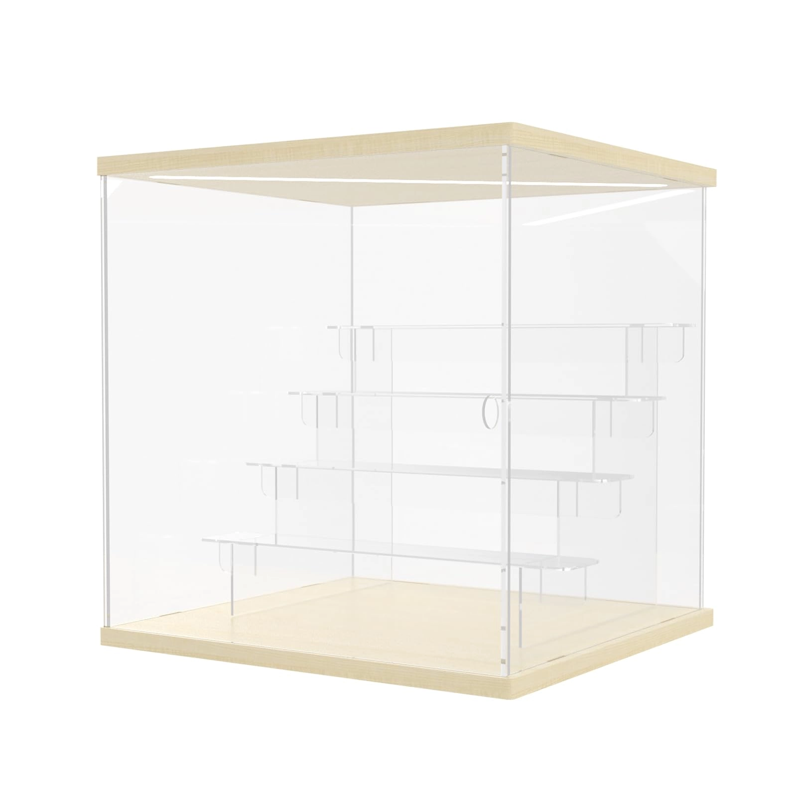 Acrylic Display Case