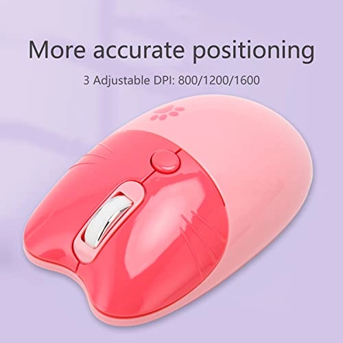 wfk8uphxng-11 - BT + 2.4GHz