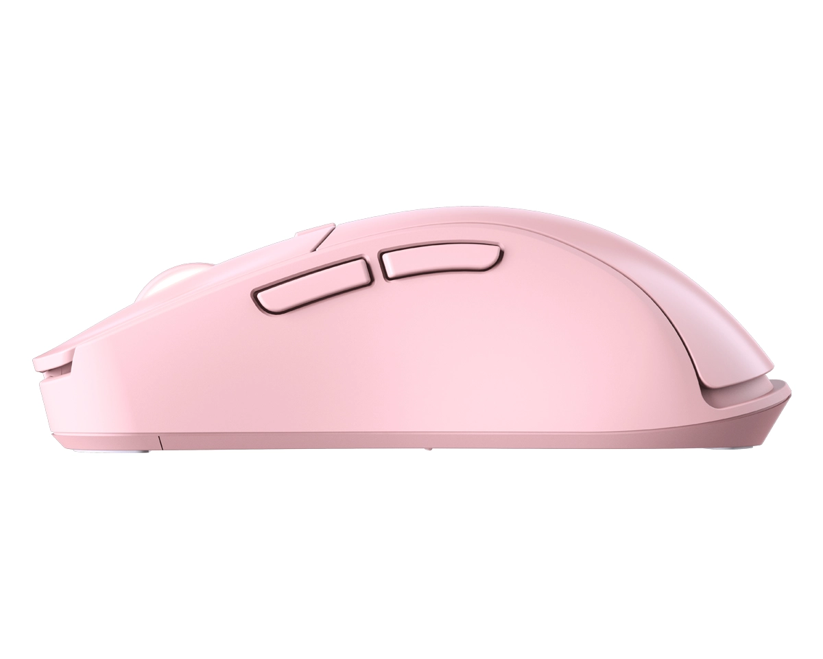 Surpassion RX - Wireless