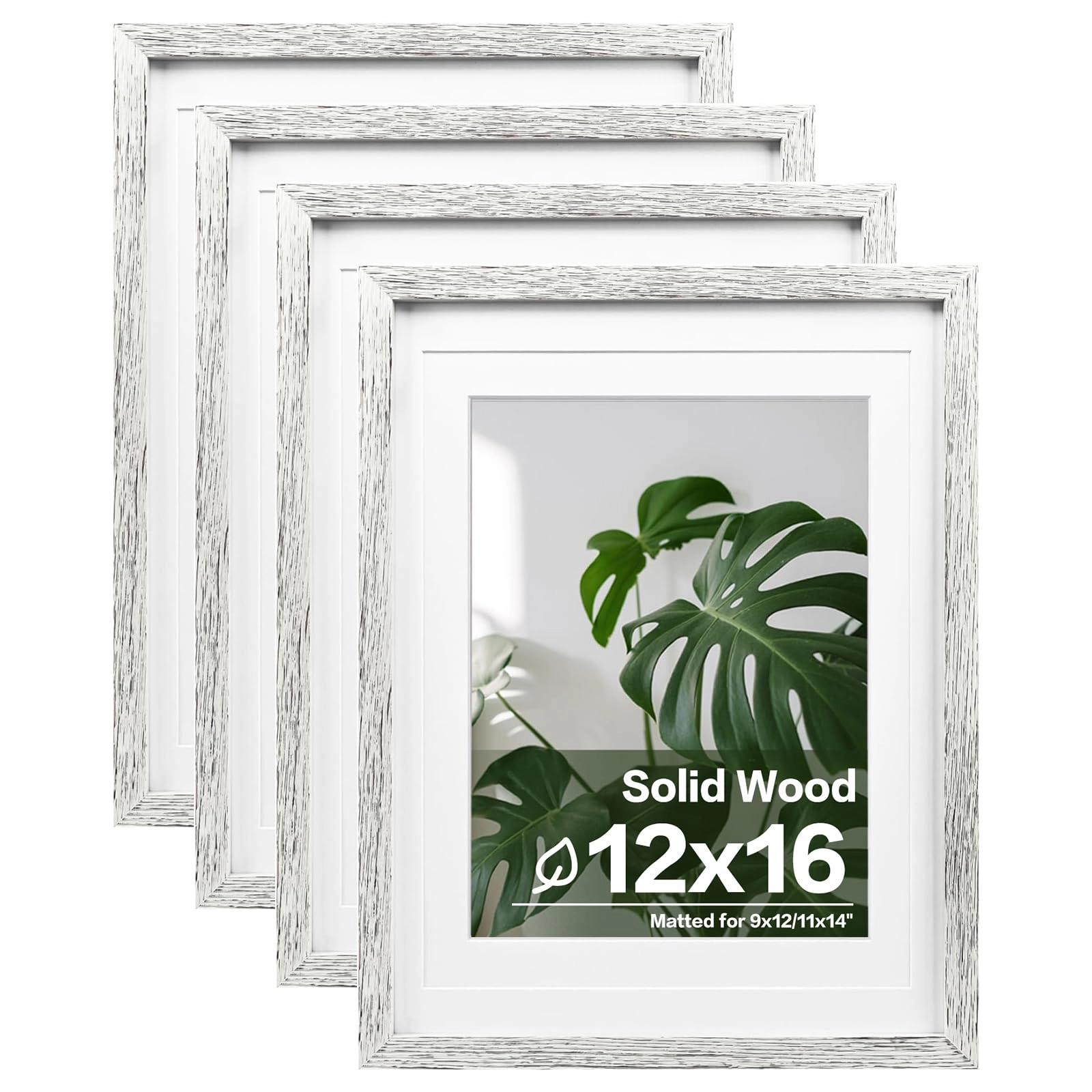 picture frames - 12x16