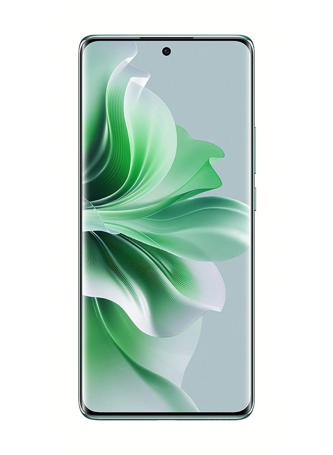 Reno 11 12GB 256GB