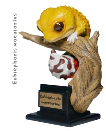 Gecko - Nephrurus Wheeleri Wheeleri (BWZ-SG)