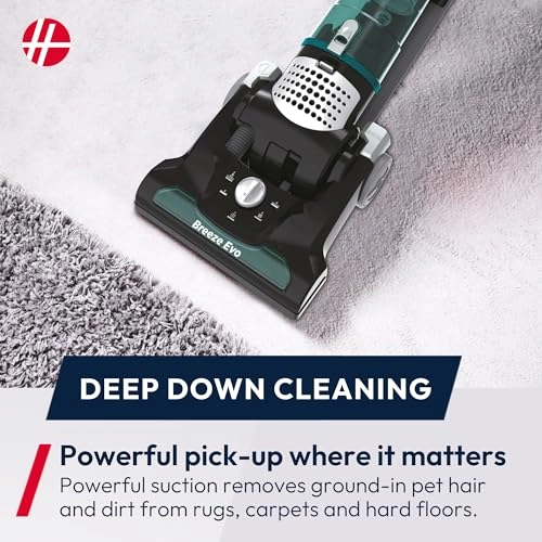 Breeze Evo (TH31BO01)