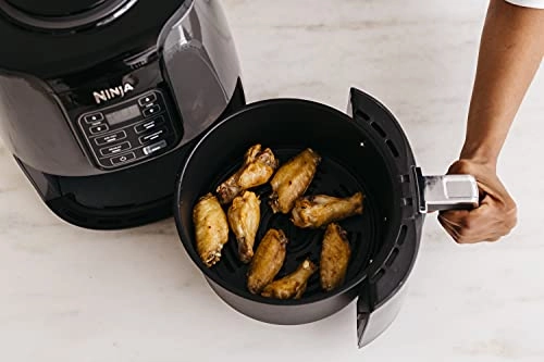Air Fryer AF100